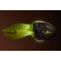 Nike AIR ZOOM ALPHAFLY NEXT%