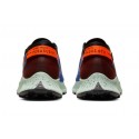 Nike-PEGASUS TRAIL 2 GORE TEX MUJER