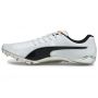 Puma-EVOSPEED ELECTRIC 10