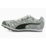Puma-EVOSPEED STAR 7