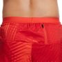 Nike-FLEX STRIDE USA 5P SHORT