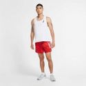Nike-FLEX STRIDE USA 5P SHORT