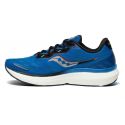 Saucony-TRIUMPH 19
