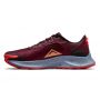 Nike-PEGASUS TRAIL 3