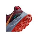 Nike-PEGASUS TRAIL 3