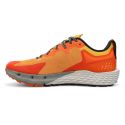 Altra-TIMP 4