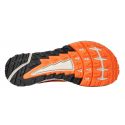 Altra-TIMP 4