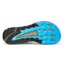Altra-TIMP 4