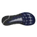 Altra-TIMP 4