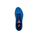 Brooks-TRACE 2