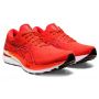 Asics-GEL - KAYANO 29