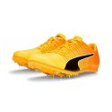 Puma-EVOSPEED TOKYO FUTURE JUMP 4